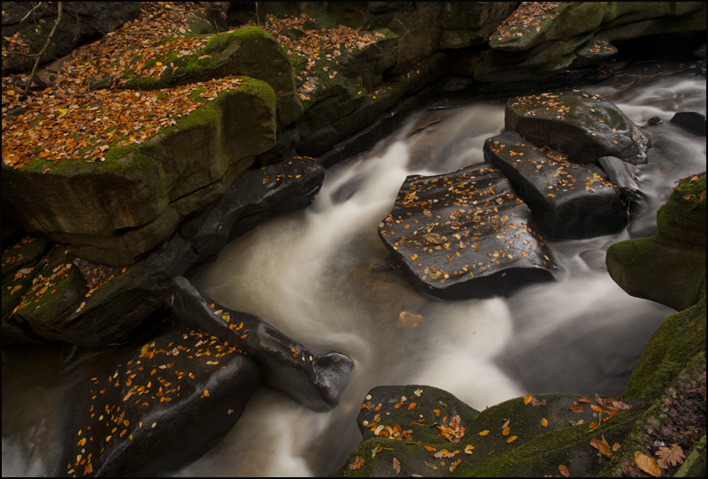 Healy Dell in Autumn - Waterfalls
