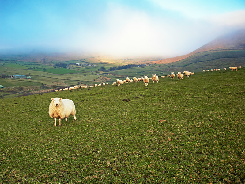  - Saddleworth