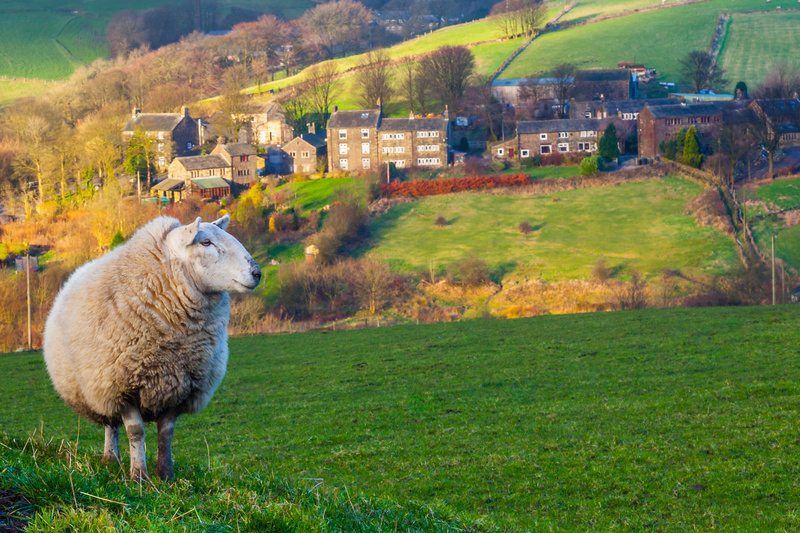  - Saddleworth
