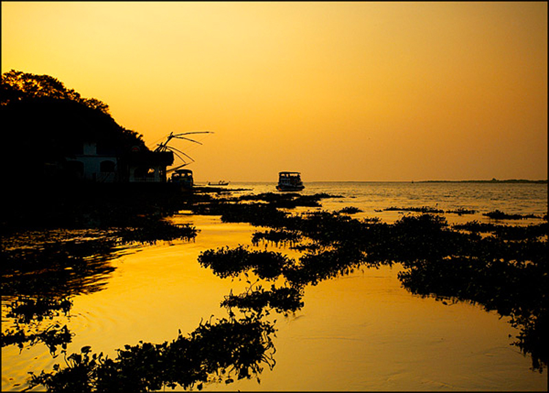 Chinese fishing nets at sunset - India - Kerala