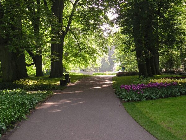 A Stroll - Nature