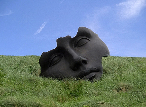 Here is looking at you - Nature