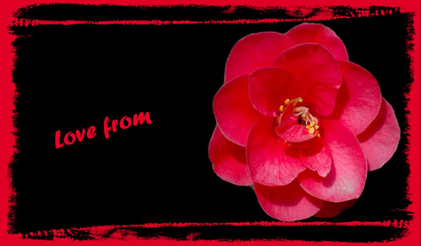 Love from 'Me' - Nature