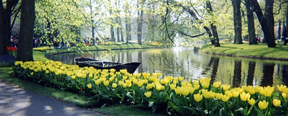 Spring - Nature