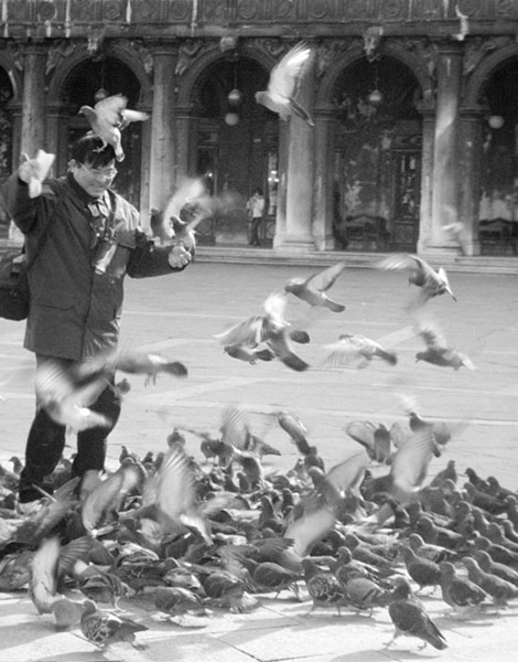 The 'Birds' - People