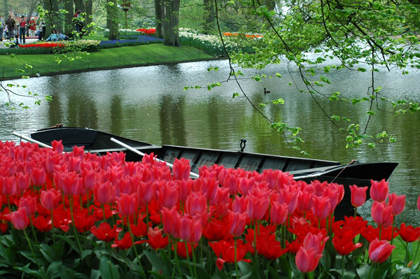 Relax - Nature