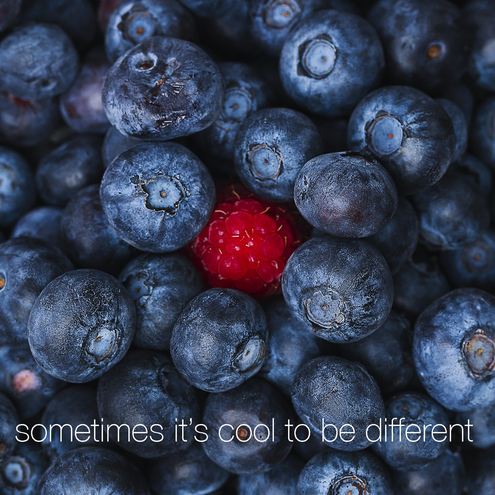  - Food & Drink Photography
