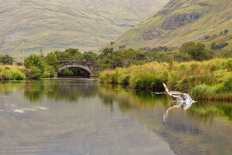Bundorragha River,  Delphi, Co. Mayo - CONNACHT