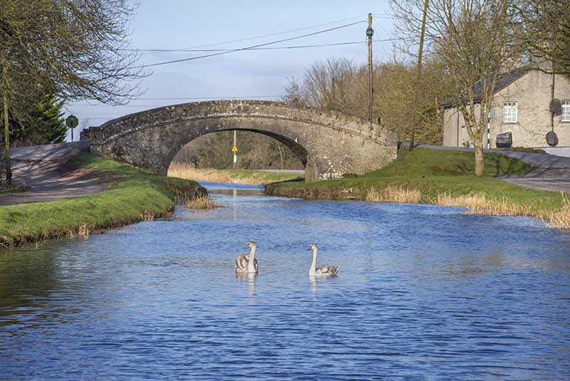 #124  Ticknevin - CO. KILDARE