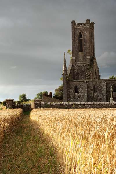#16 Ballinafagh Church IV - CO. KILDARE