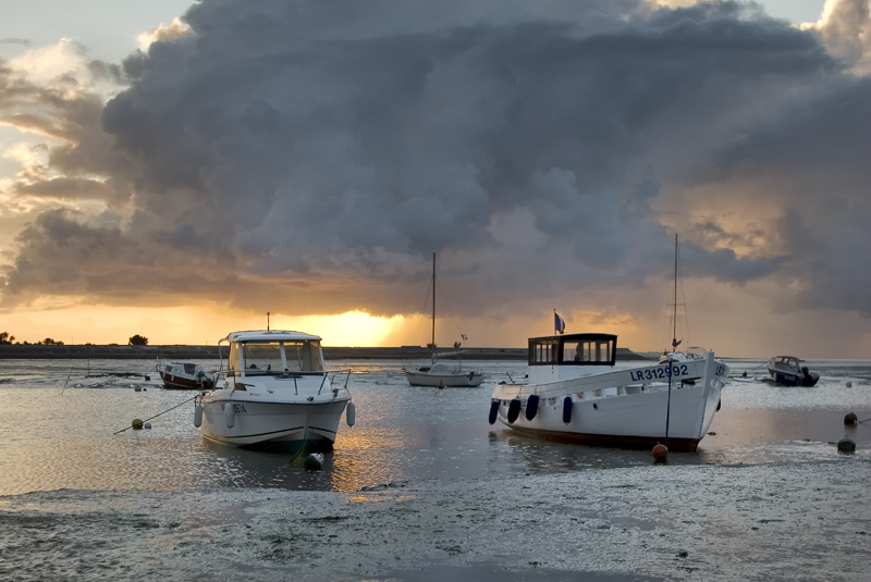 Loix Harbour Sunrise, Île de Ré, France - TRAVEL
