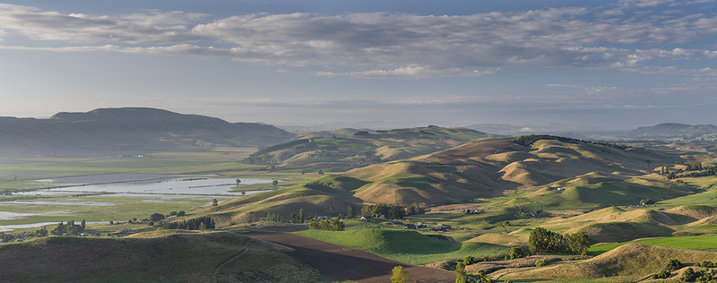Te Hauke, Hawkes Bay - NEW ZEALAND