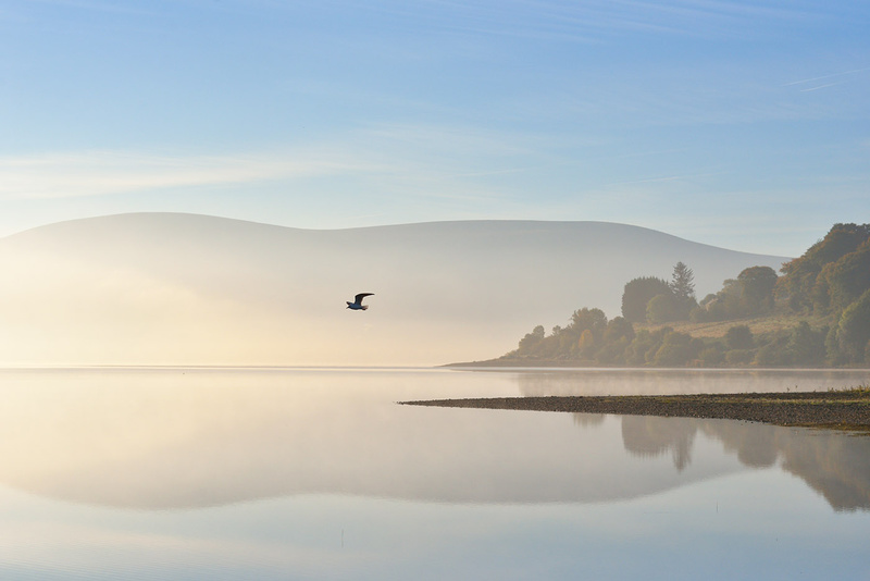 Blessington Lake - CO. WICKLOW
