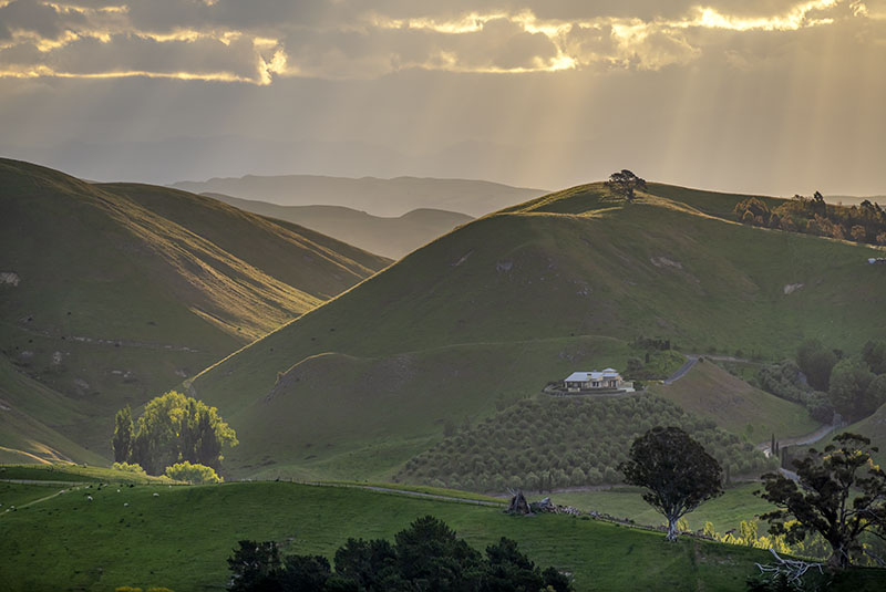 Havelock North Sunset - NEW ZEALAND
