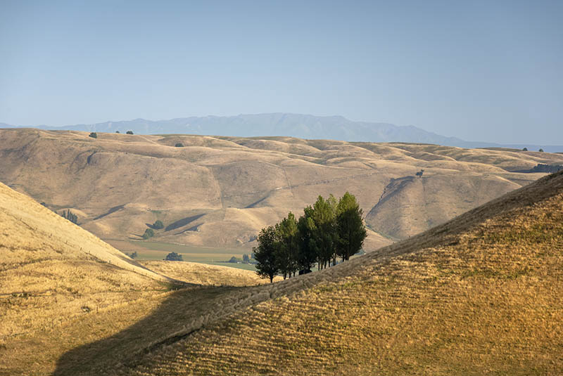 Poukawa, Hawke's Bay - NEW ZEALAND
