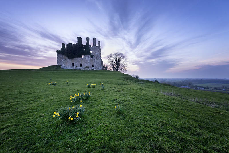 #123  Carbury Castle - CO. KILDARE