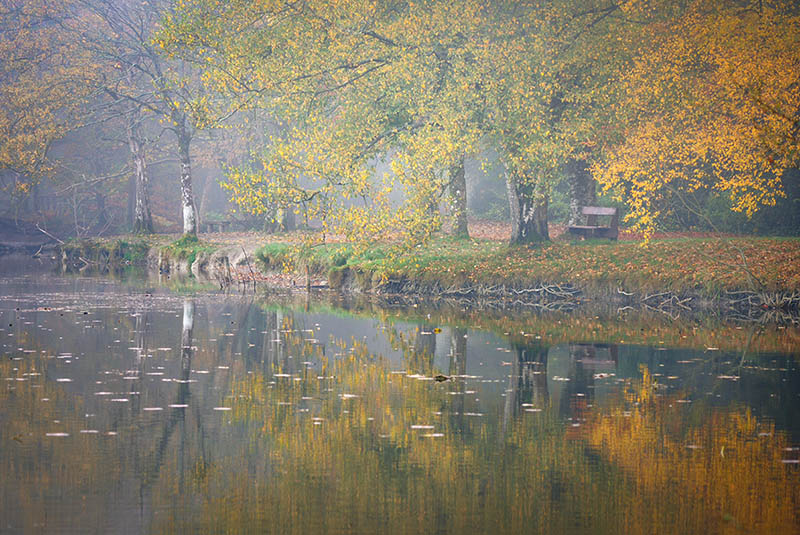 #7  Donadea Reflections - CO. KILDARE