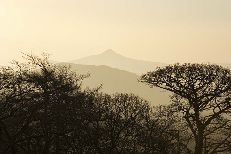 Great Sugar Loaf - CO. WICKLOW