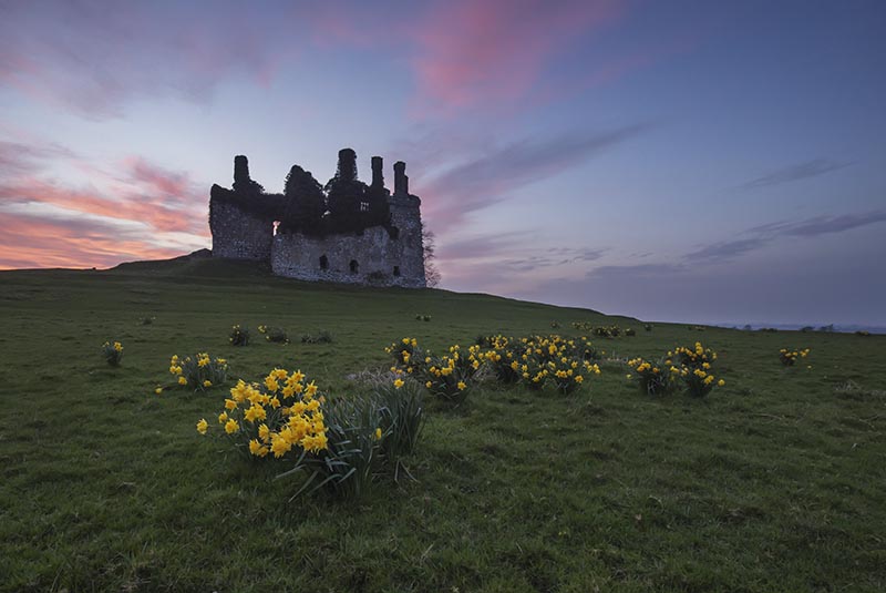 #65  Carbury Castle IV - CO. KILDARE