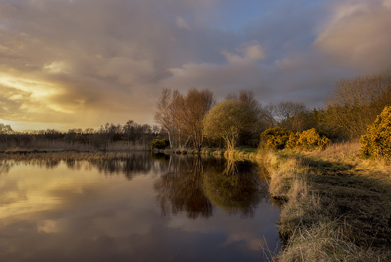 #51  Ballinafagh Lake II - CO. KILDARE