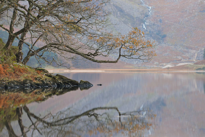 Glendalough Reflection