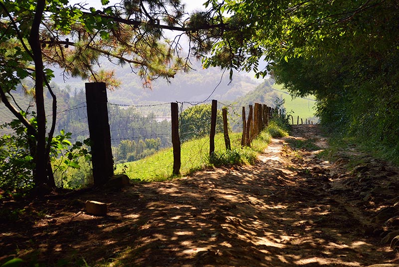 Orio, Camino del Norte, Pays Basque, Spain - TRAVEL