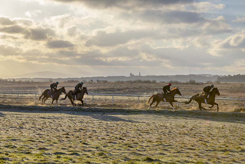 #72  The Curragh V - CO. KILDARE