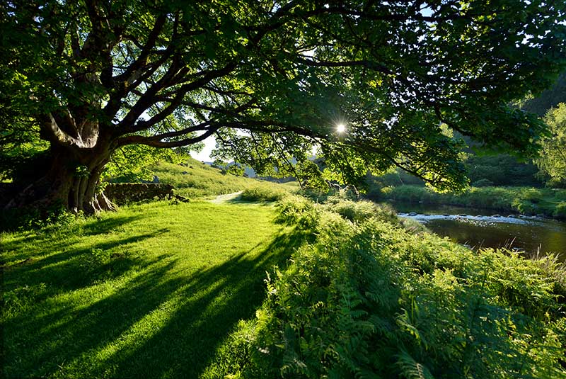 Sunrise at Lough Dan - CO. WICKLOW