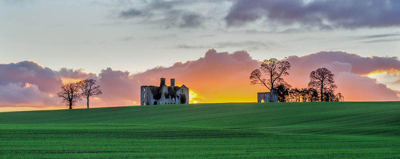 #66 Rathcoffey Castle - CO. KILDARE
