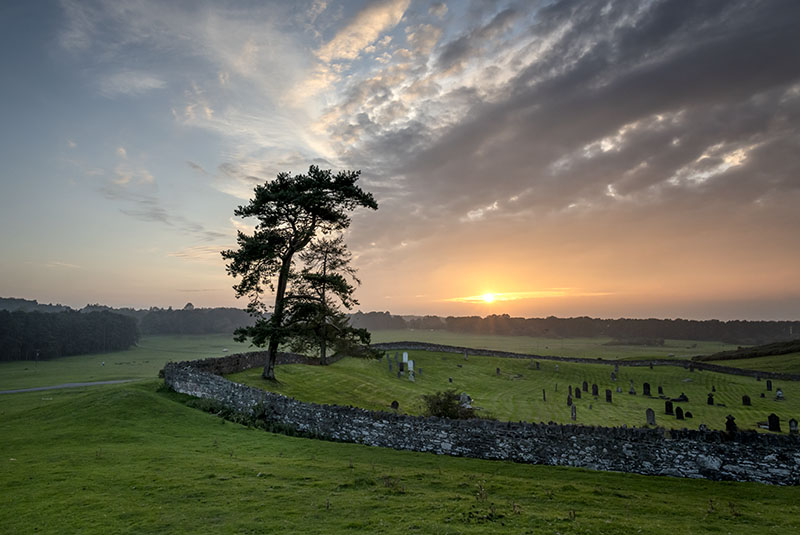 #113 The Curragh - CO. KILDARE