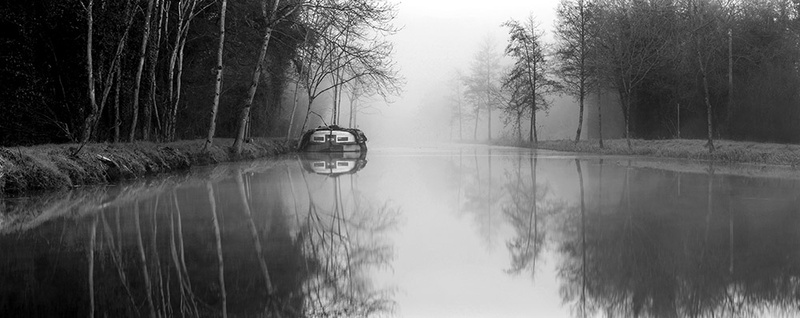 #38  Landenstown Fog - CO. KILDARE