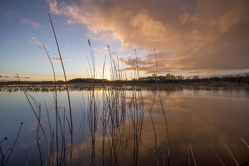 #91  Ballinafagh Lake Sunset - CO. KILDARE