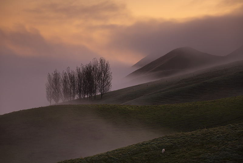 Misty Hilltop - NEW ZEALAND
