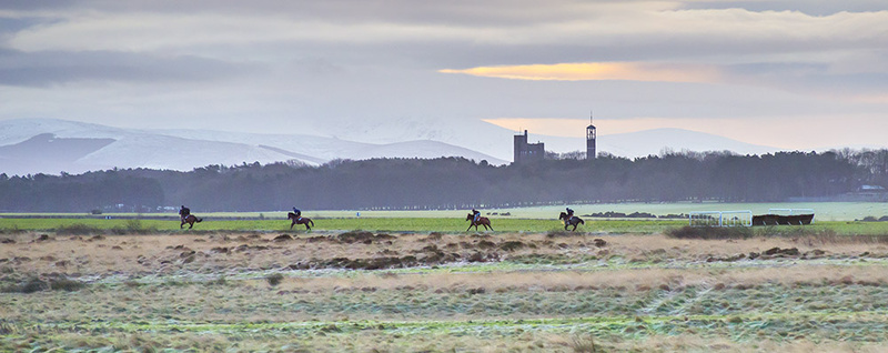 #70  The Curragh II - CO. KILDARE