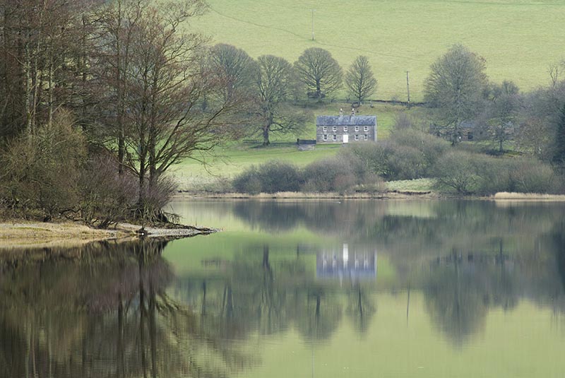 Russellstown Reflection - CO. WICKLOW
