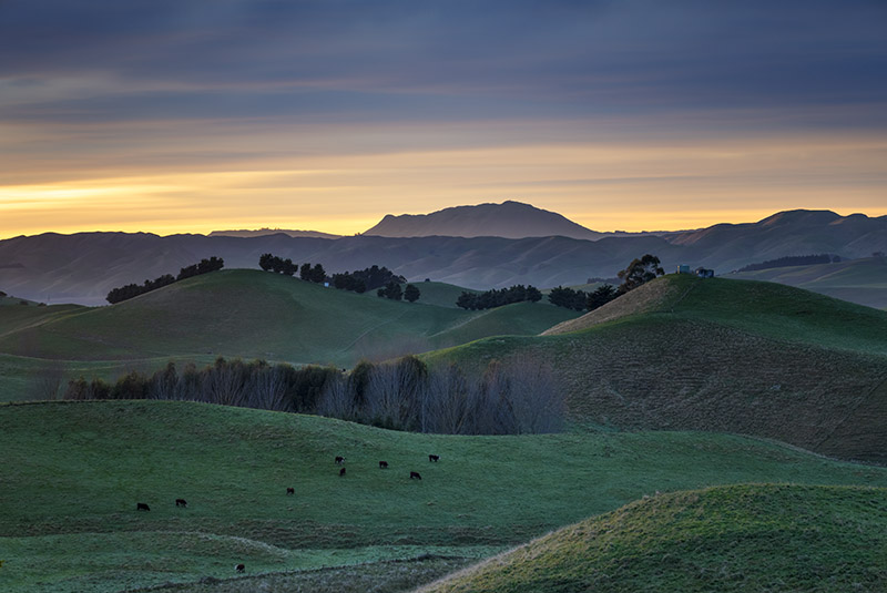 Te Hauke, Hawkes Bay - NEW ZEALAND