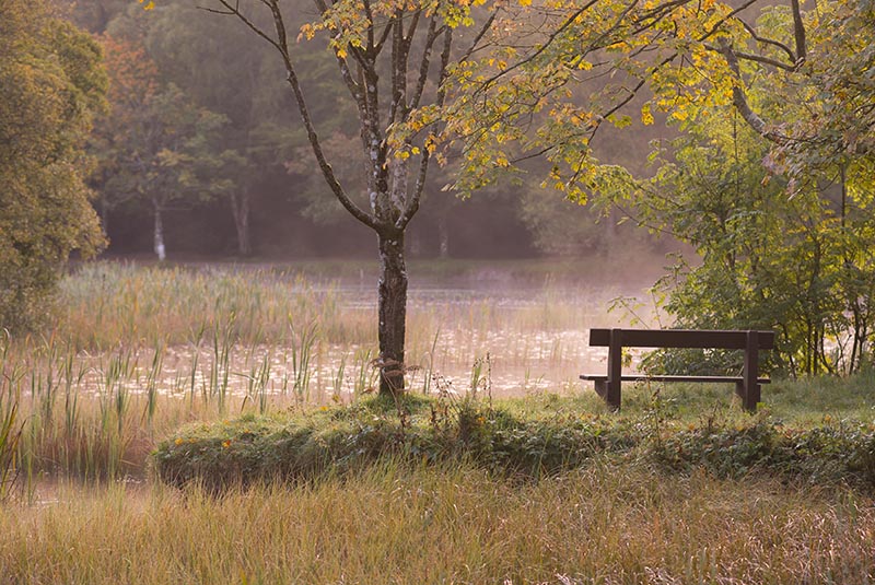 #9  Donadea Lake III - CO. KILDARE