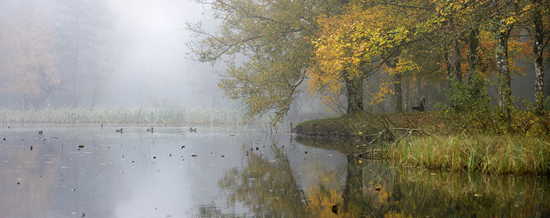 #11  Donadea Lake IV - CO. KILDARE