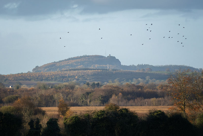 #112  Hill of Allen - CO. KILDARE