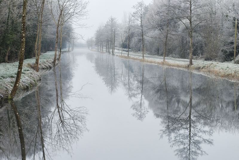 Landenstown Reflection ll