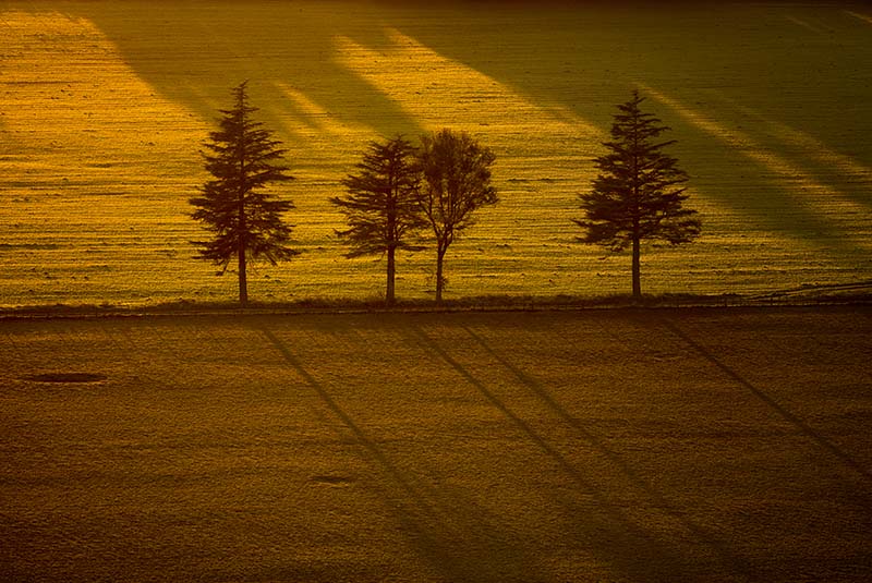 Pakipaki, Hawkes Bay - NEW ZEALAND