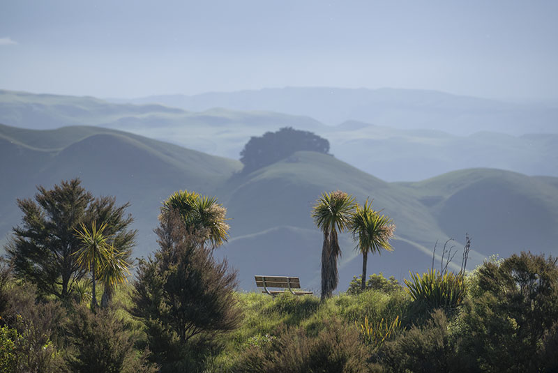 Te Mata Peak, Hawkes Bay - NEW ZEALAND