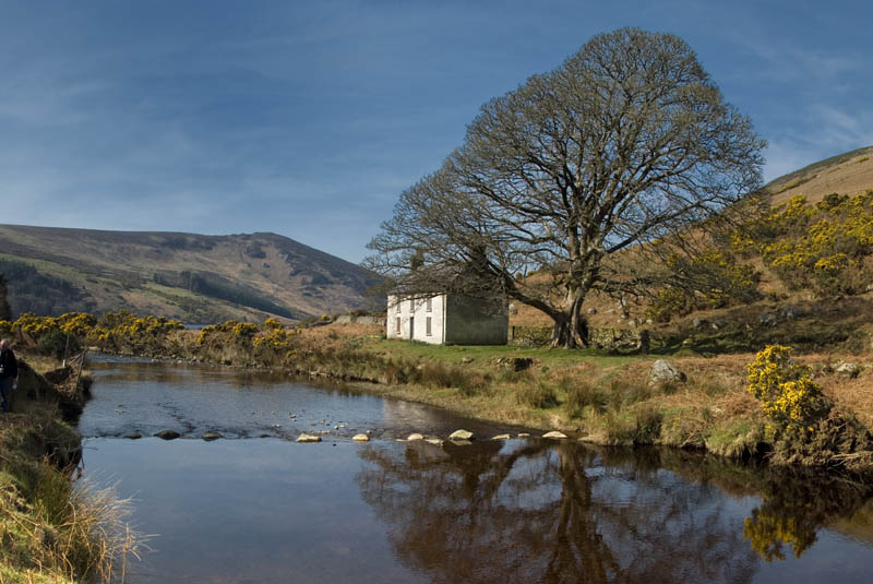 Lough Dan Cottage