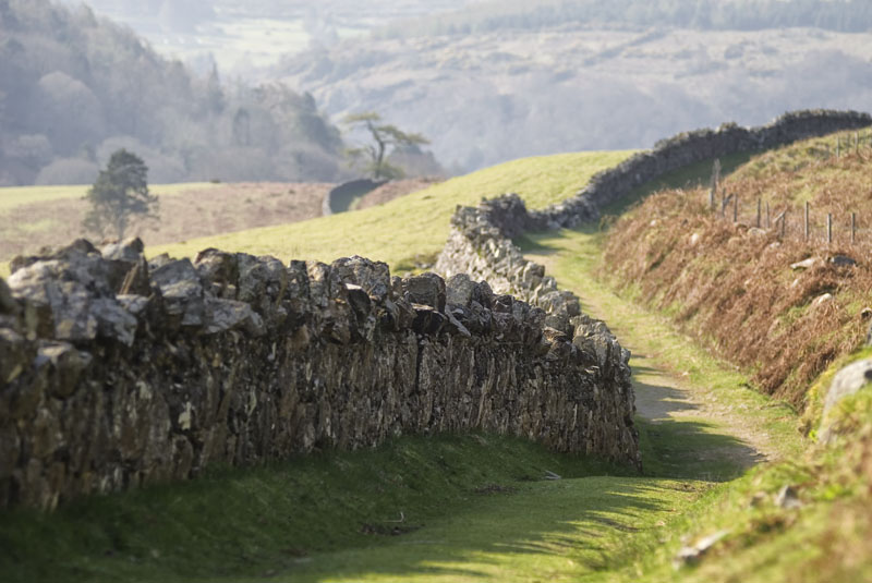 The road to Lough Dan - CO. WICKLOW