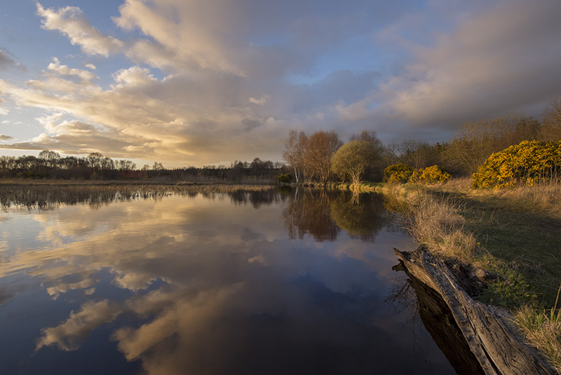 #50  Ballinafagh Lake I - CO. KILDARE