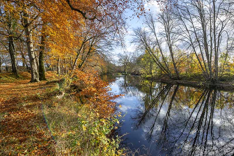 #100  Victoria Bridge Autumn - CO. KILDARE