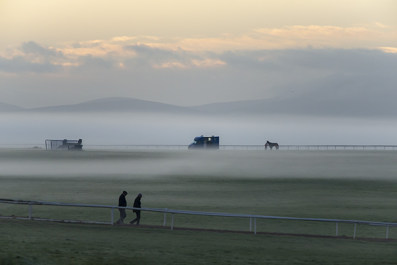 #74  The Curragh VIII - CO. KILDARE