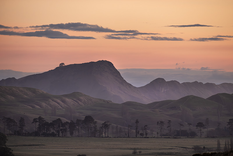 Te Mata Peak - NEW ZEALAND