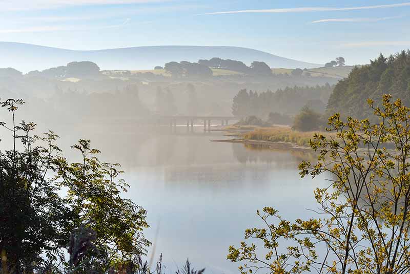 Burgage, Blessington Lake - CO. WICKLOW