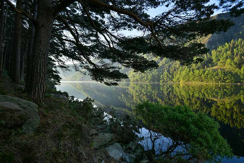 Glendalough Lake - CO. WICKLOW